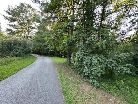 Lt 1 Newberry Drive Mineral Bluff GA 30559