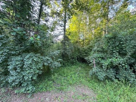 Lt 1 Newberry Drive Mineral Bluff GA 30559