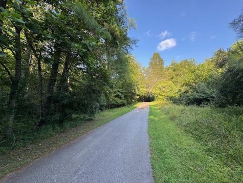 Lt 1 Newberry Drive Mineral Bluff GA 30559