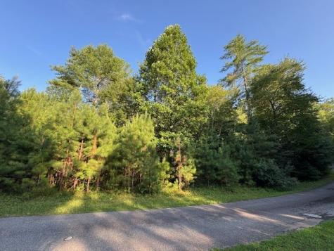 Lt 1 Newberry Drive Mineral Bluff GA 30559
