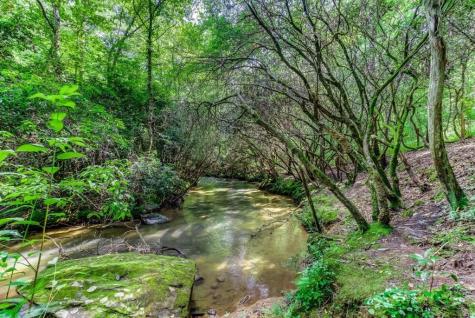 Lt 1 Newberry Drive Mineral Bluff GA 30559