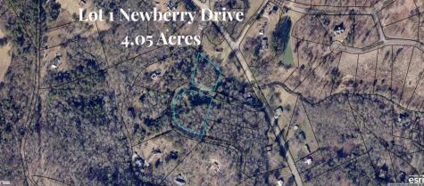 Lt 1 Newberry Drive Mineral Bluff GA 30559