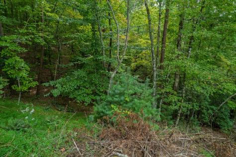 2.5 Ac Mango Lane Ellijay GA 30540