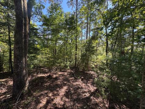 2.5 Ac Mango Lane Ellijay GA 30540