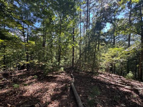 2.5 Ac Mango Lane Ellijay GA 30540