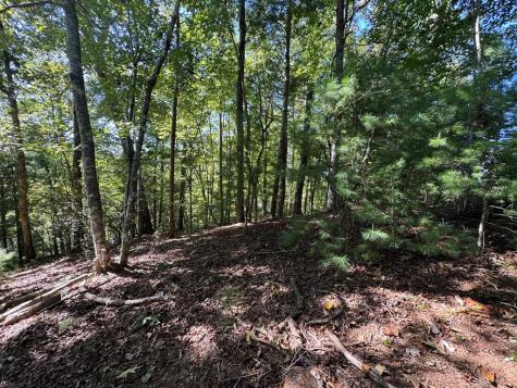 2.5 Ac Mango Lane Ellijay GA 30540