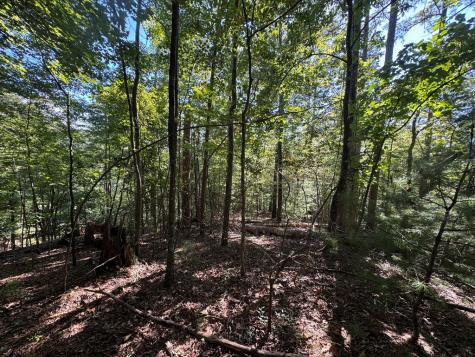 2.5 Ac Mango Lane Ellijay GA 30540