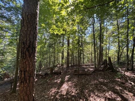 2.5 Ac Mango Lane Ellijay GA 30540