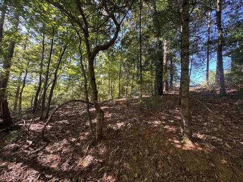 2.5 Ac Mango Lane Ellijay GA 30540