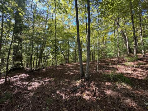 2.5 Ac Mango Lane Ellijay GA 30540