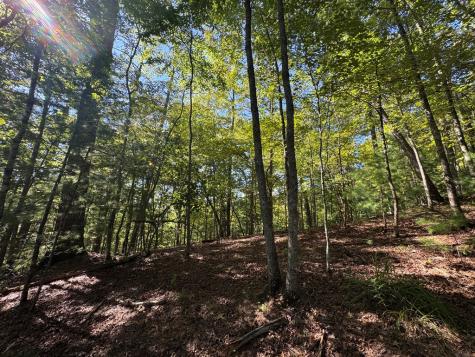 2.5 Ac Mango Lane Ellijay GA 30540