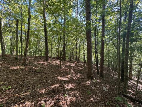 2.5 Ac Mango Lane Ellijay GA 30540
