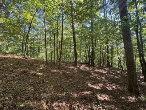 2.5 Ac Mango Lane Ellijay GA 30540