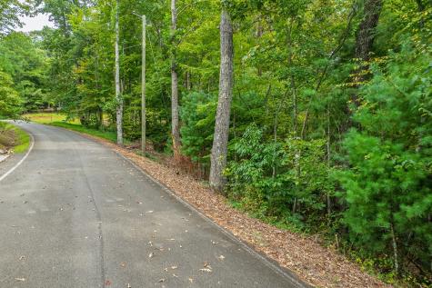 2.5 Ac Mango Lane Ellijay GA 30540