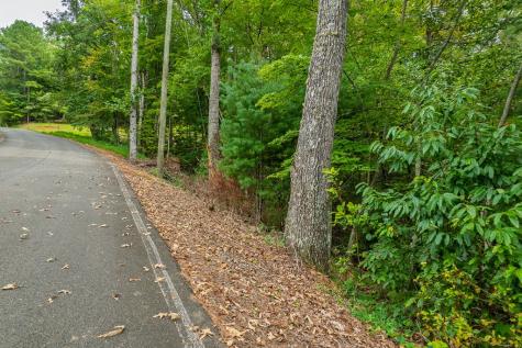 2.5 Ac Mango Lane Ellijay GA 30540