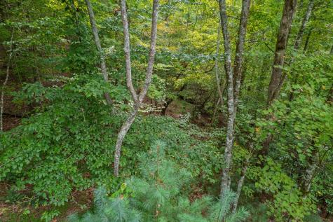 2.5 Ac Mango Lane Ellijay GA 30540