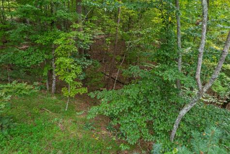 2.5 Ac Mango Lane Ellijay GA 30540