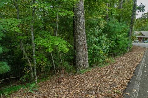 2.5 Ac Mango Lane Ellijay GA 30540