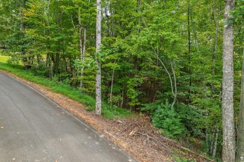 2.5 Ac Mango Lane Ellijay GA 30540