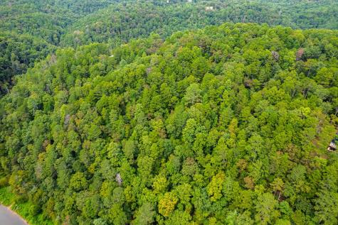 2.5 Ac Mango Lane Ellijay GA 30540