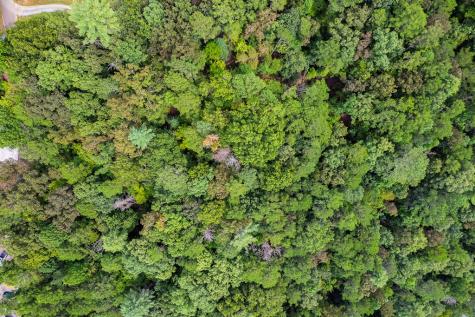 2.5 Ac Mango Lane Ellijay GA 30540