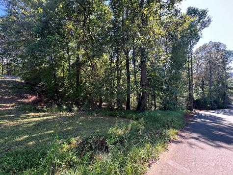 2.5 Ac Mango Lane Ellijay GA 30540