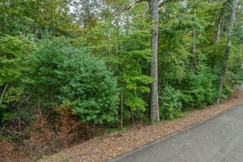 2.5 Ac Mango Lane Ellijay GA 30540