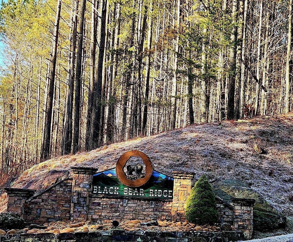 37 Black Bear Ridge Road Ellijay GA 30536
