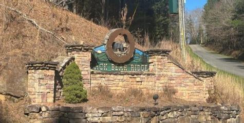 37 Black Bear Ridge Road Ellijay GA 30536