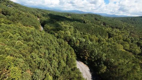 37 Black Bear Ridge Road Ellijay GA 30536