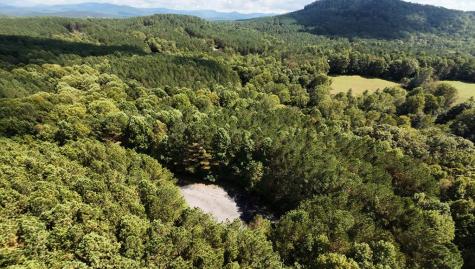 37 Black Bear Ridge Road Ellijay GA 30536