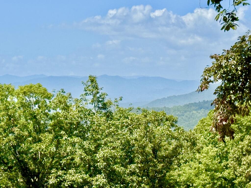 33 Grand Laurel Brasstown NC 28902