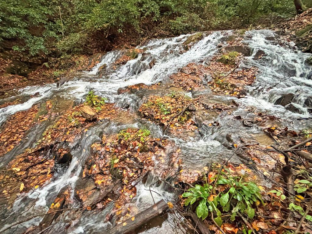 137 Faircloth Drive Blue Ridge GA 30513