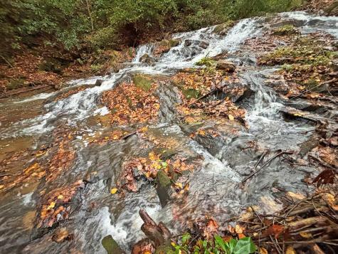 137 Faircloth Drive Blue Ridge GA 30513