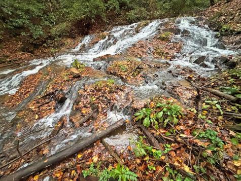 137 Faircloth Drive Blue Ridge GA 30513