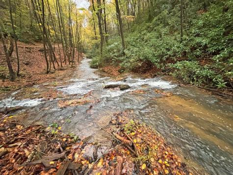 137 Faircloth Drive Blue Ridge GA 30513