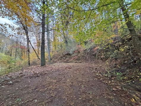 137 Faircloth Drive Blue Ridge GA 30513