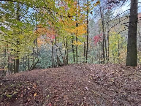 137 Faircloth Drive Blue Ridge GA 30513