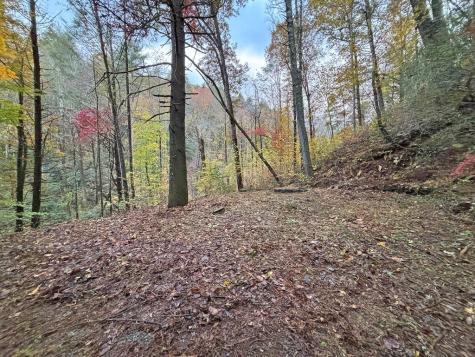 137 Faircloth Drive Blue Ridge GA 30513