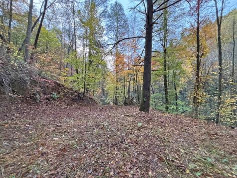 137 Faircloth Drive Blue Ridge GA 30513