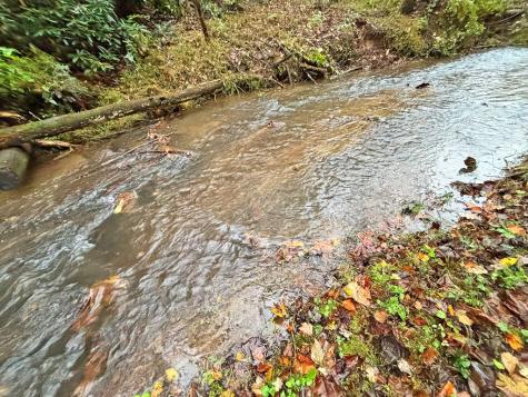 137 Faircloth Drive Blue Ridge GA 30513