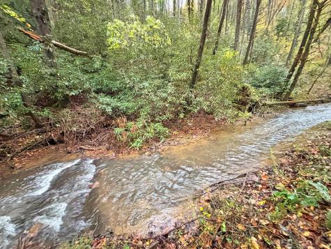 137 Faircloth Drive Blue Ridge GA 30513