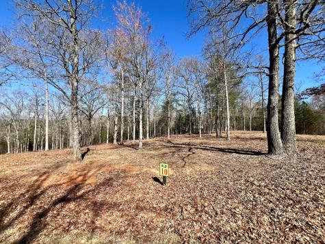 10 Arbor Creek Trail Mineral Bluff GA 30559