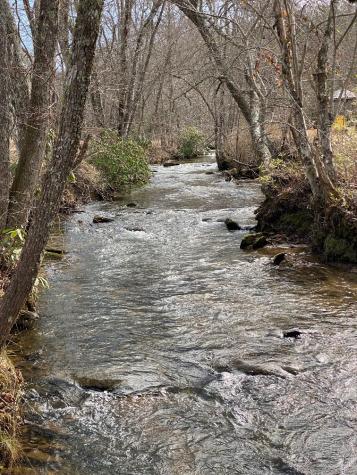 10 Arbor Creek Trail Mineral Bluff GA 30559