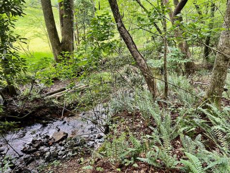 #4 Lower Fox Trail Blairsville GA 30512