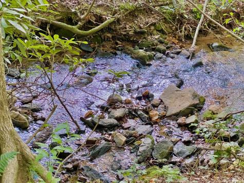 #4 Lower Fox Trail Blairsville GA 30512