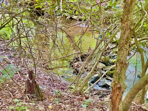 #4 Lower Fox Trail Blairsville GA 30512