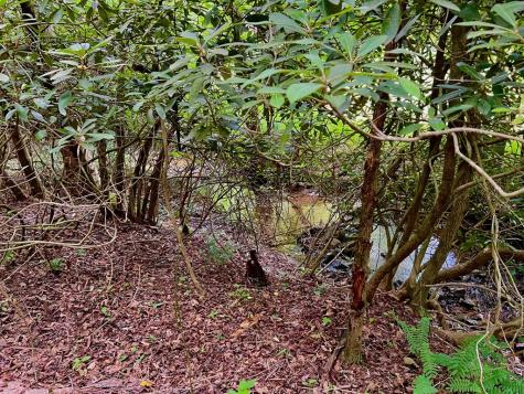 #4 Lower Fox Trail Blairsville GA 30512