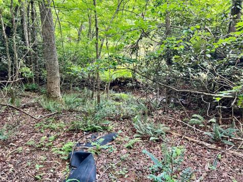 #4 Lower Fox Trail Blairsville GA 30512