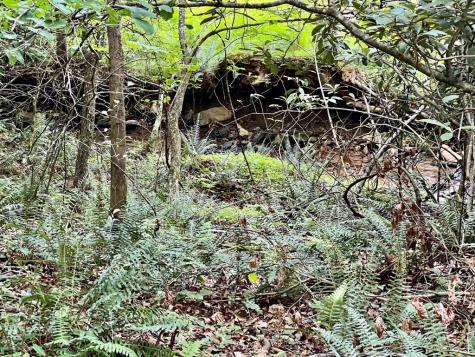 #4 Lower Fox Trail Blairsville GA 30512